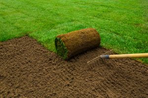 lawn supply and install